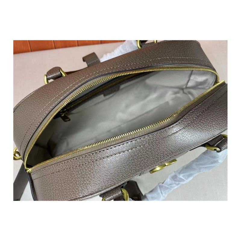Gucci Ophidia Bag