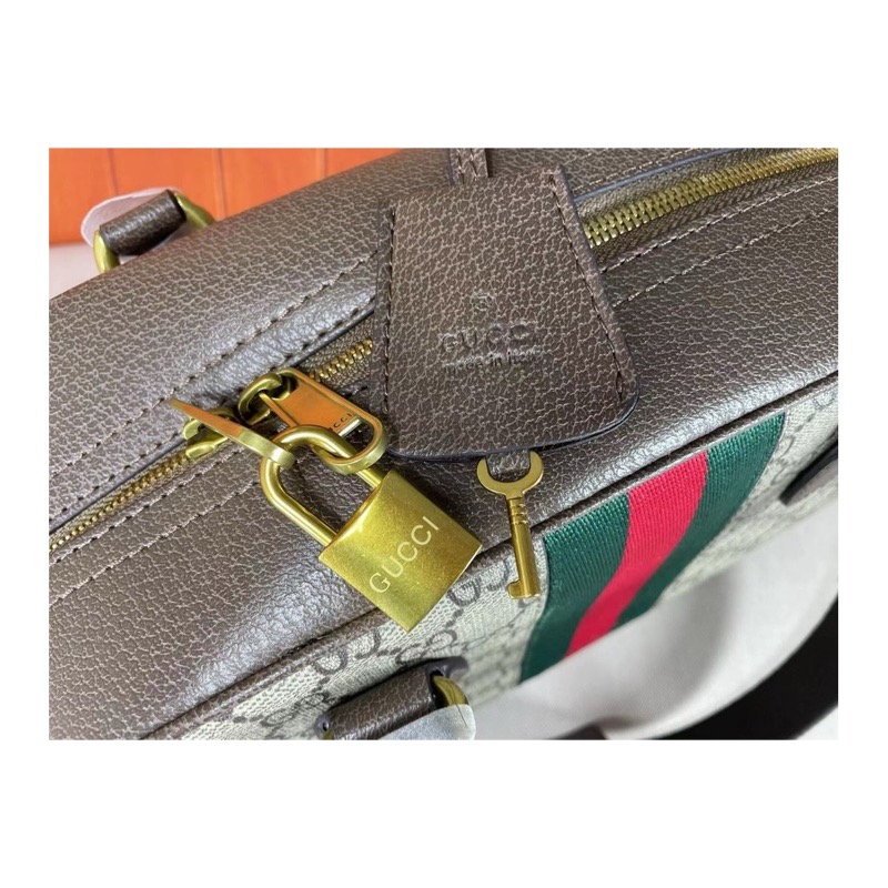 Gucci Ophidia Bag