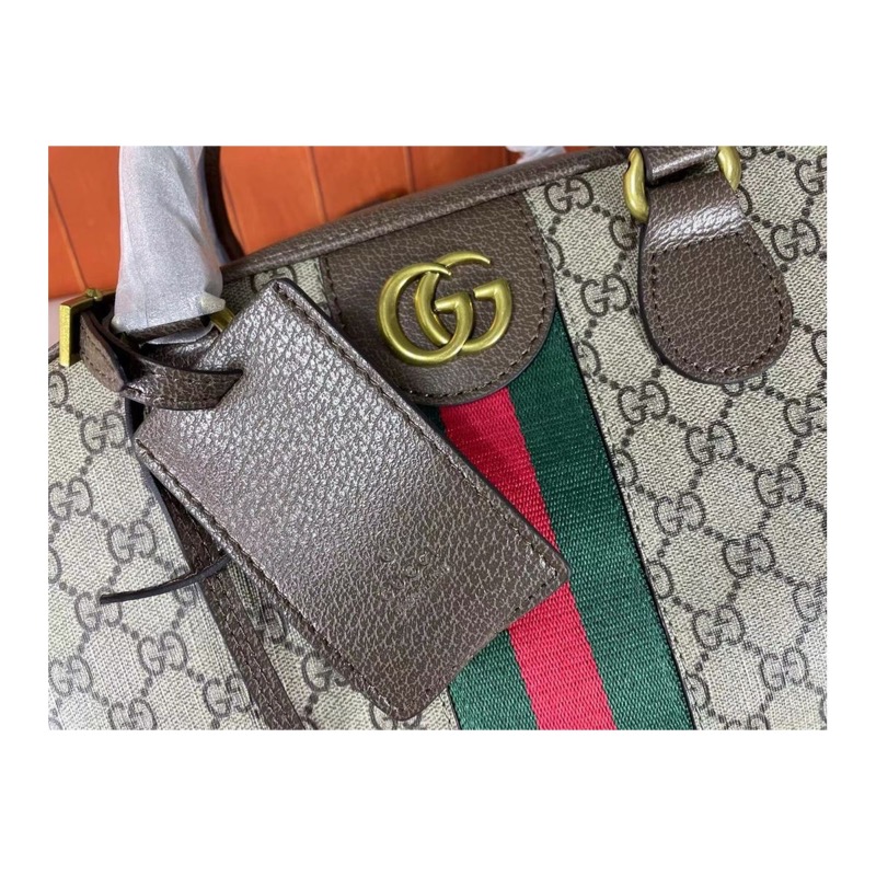 Gucci Ophidia Bag