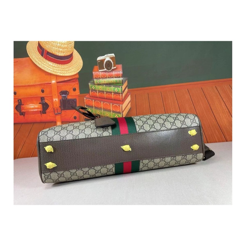 Gucci Ophidia Bag