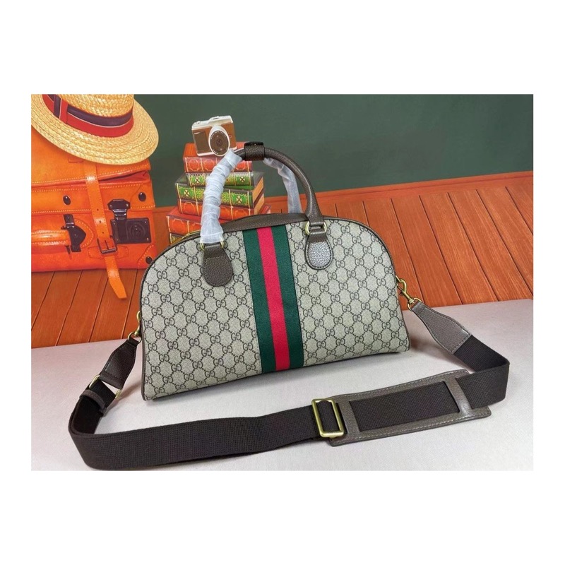 Gucci Ophidia Bag