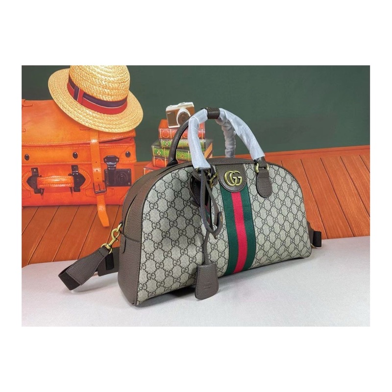 Gucci Ophidia Bag