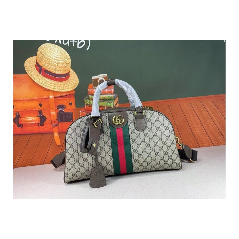 Gucci Ophidia Bag