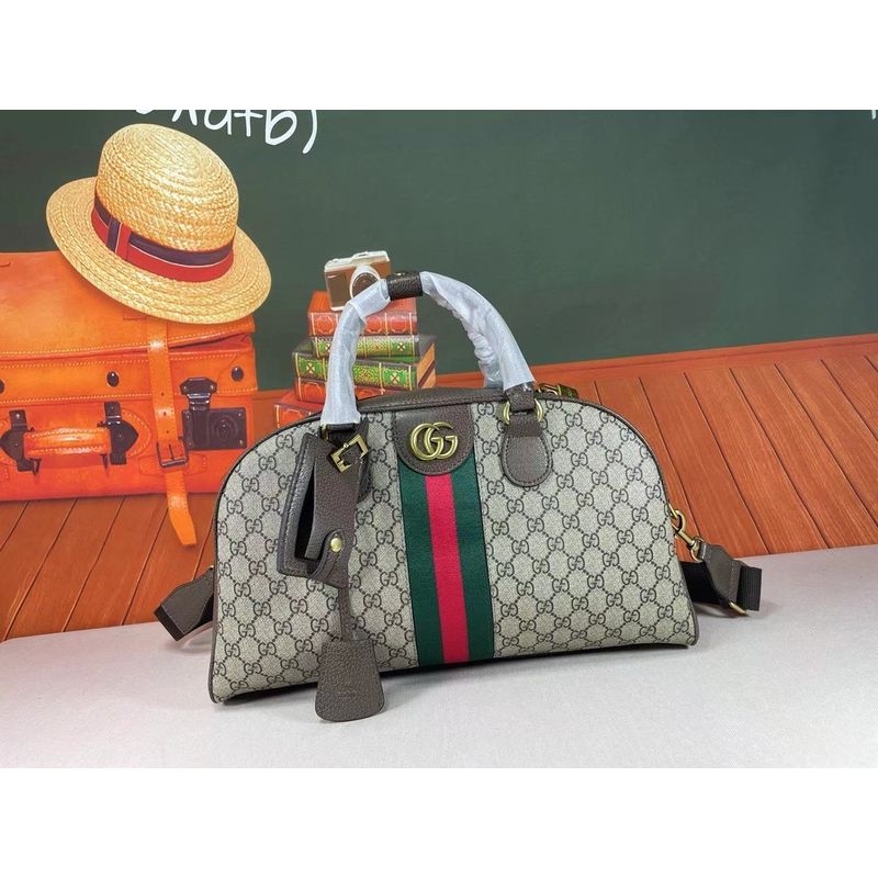Gucci Ophidia Bag