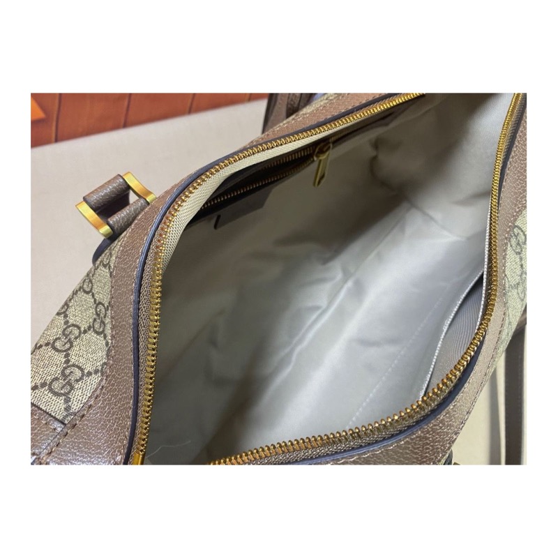 Gucci Ophidia Bag