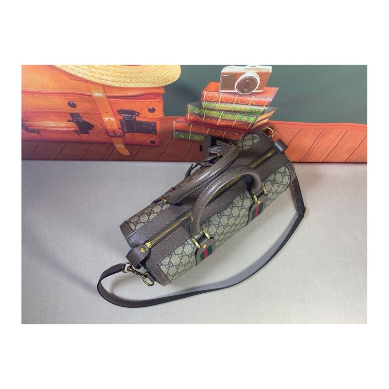 Gucci Ophidia Bag