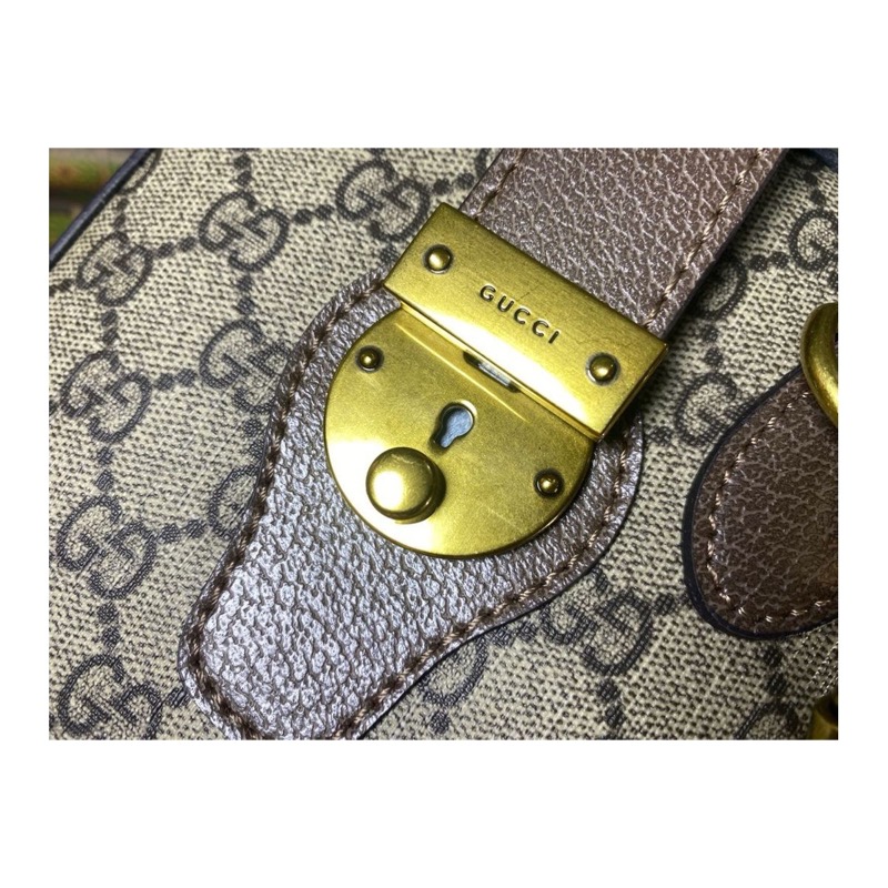 Gucci Ophidia Bag