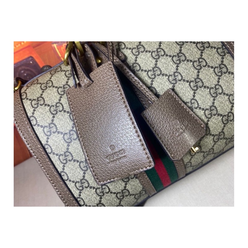 Gucci Ophidia Bag