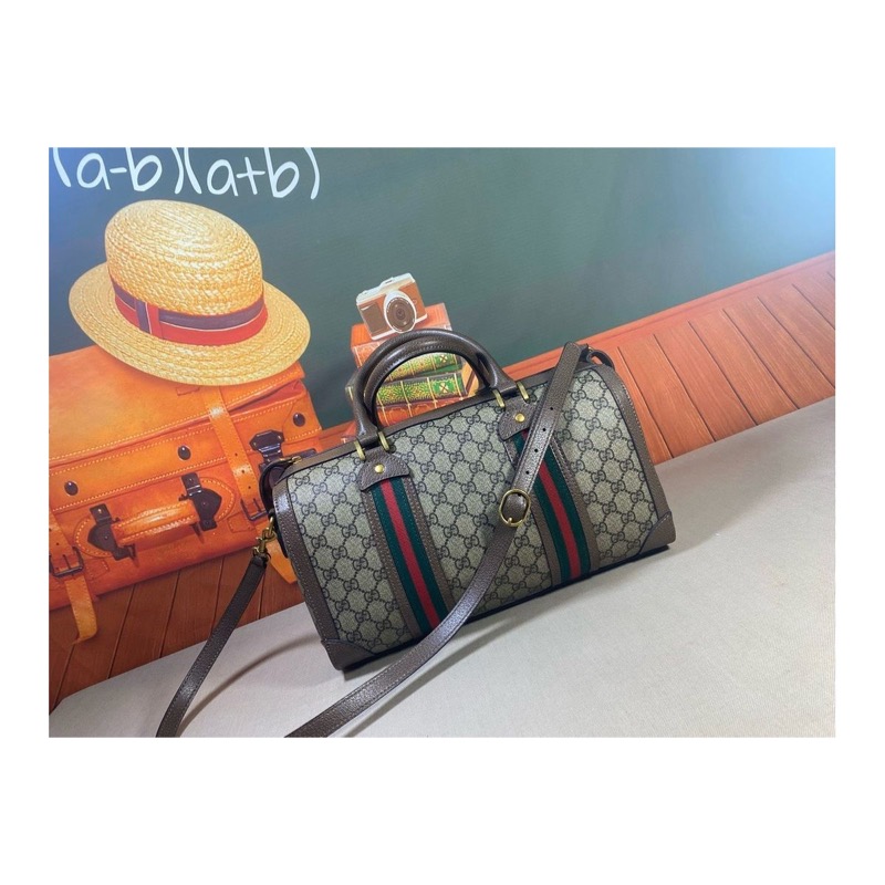 Gucci Ophidia Bag
