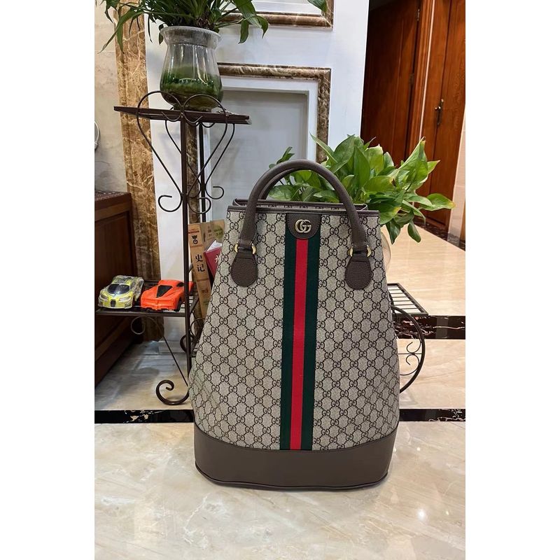 Gucci Ophidia Bag