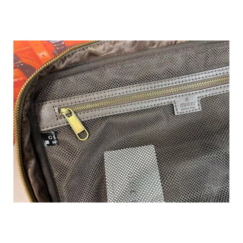 Gucci Ophidia Bag