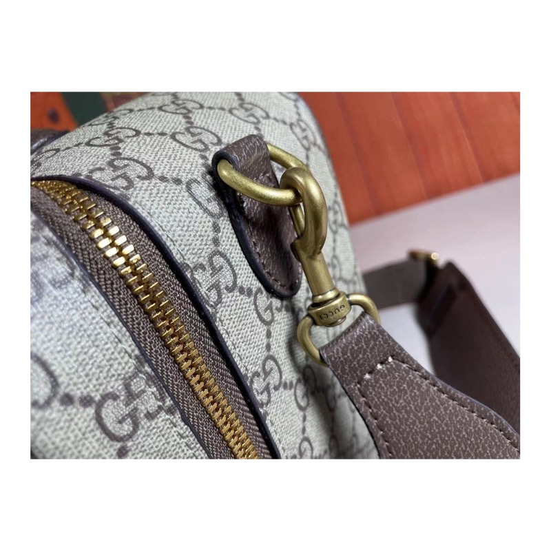 Gucci Ophidia Bag