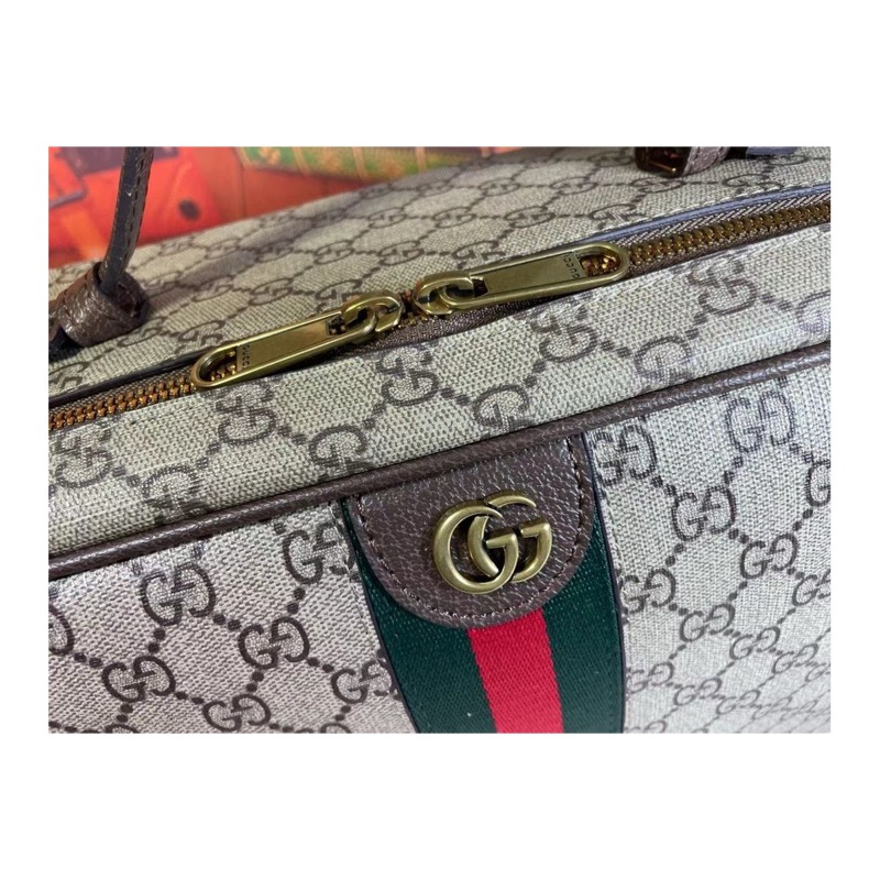 Gucci Ophidia Bag