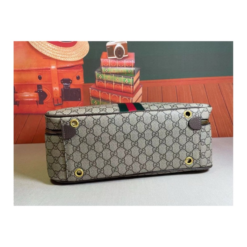 Gucci Ophidia Bag
