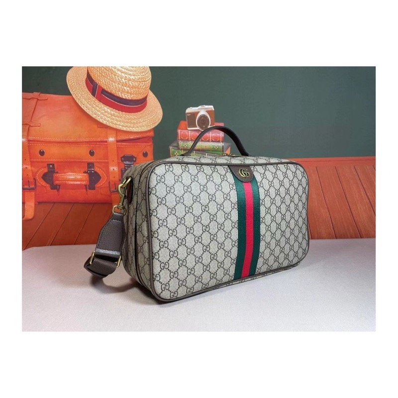 Gucci Ophidia Bag