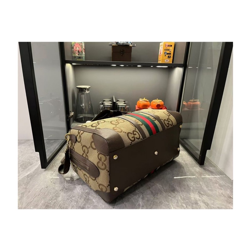 Gucci Ophidia Bag