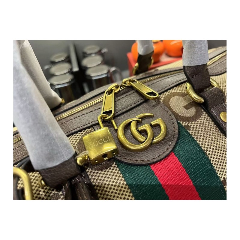 Gucci Ophidia Bag