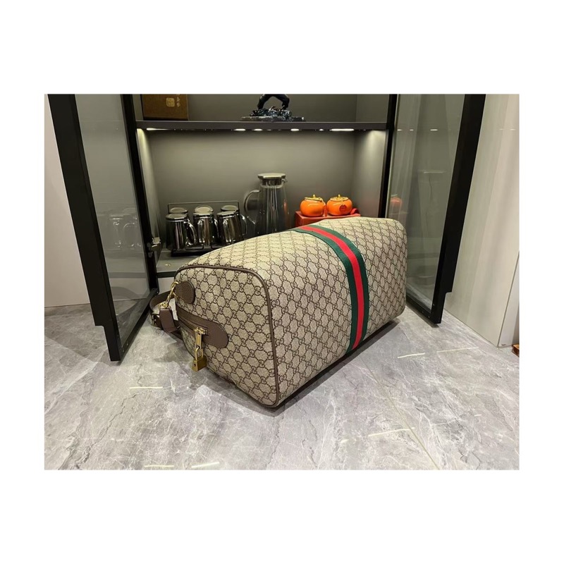 Gucci Ophidia Monogram Bag