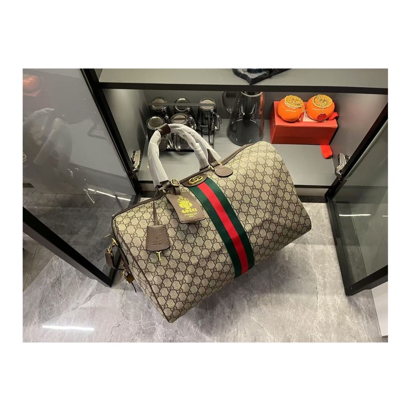 Gucci Ophidia Monogram Bag