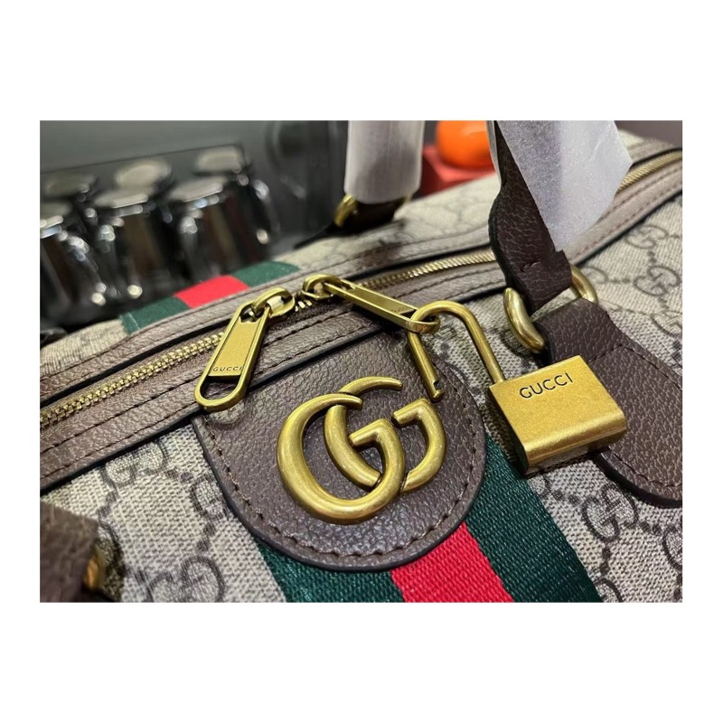 Gucci Ophidia Monogram Bag