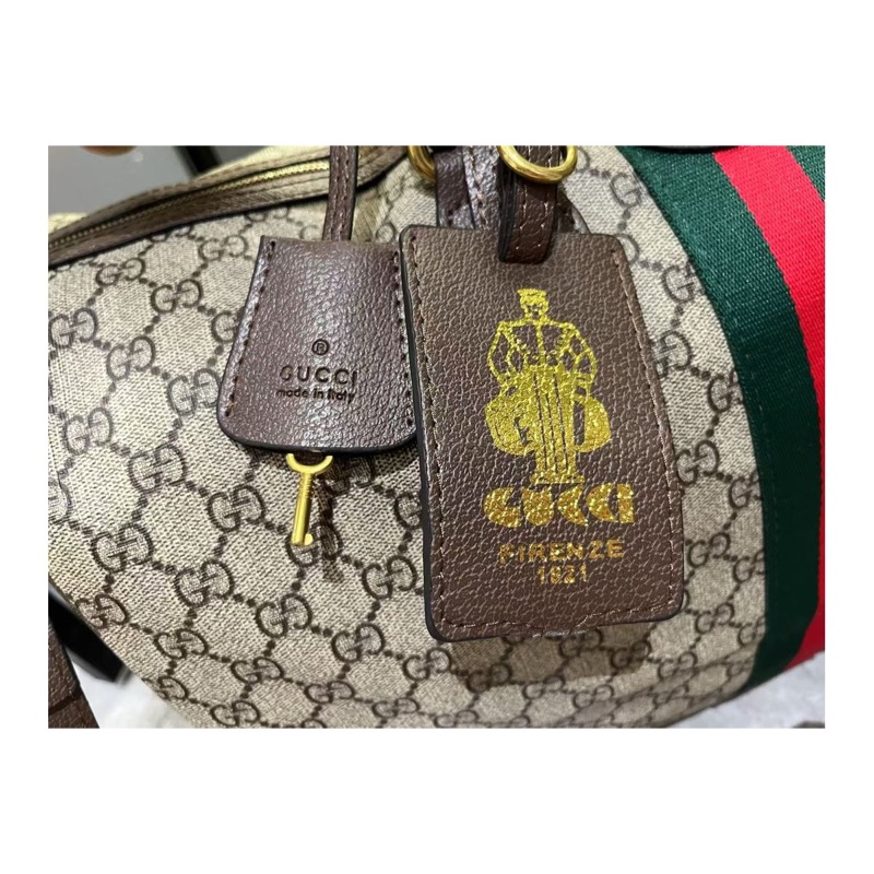 Gucci Ophidia Monogram Bag