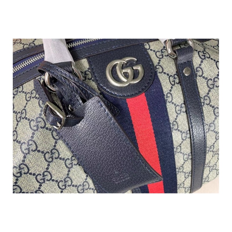 Gucci Ophidia Monogram Bag