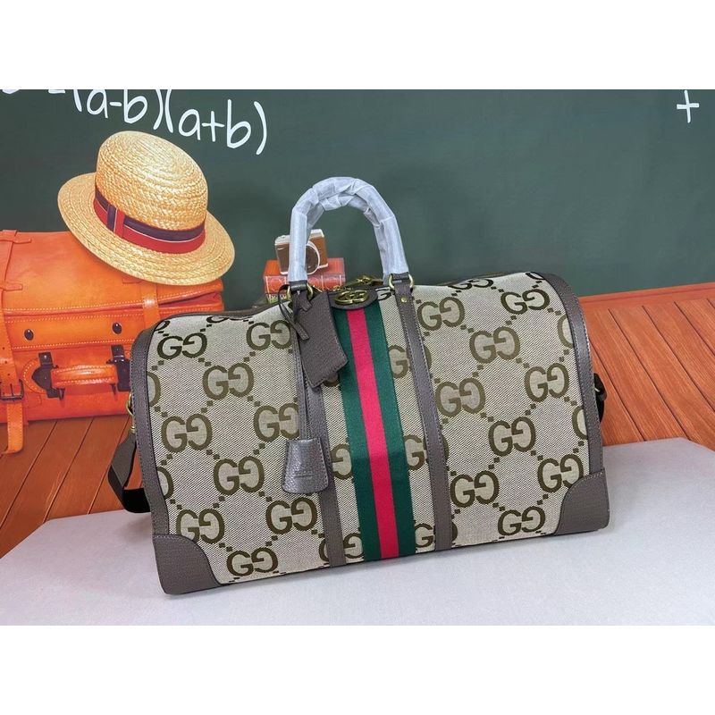 Gucci Ophidia Monogram Bag
