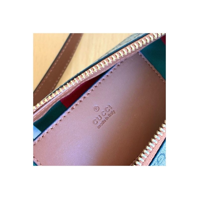 Gucci Ophidia Bag