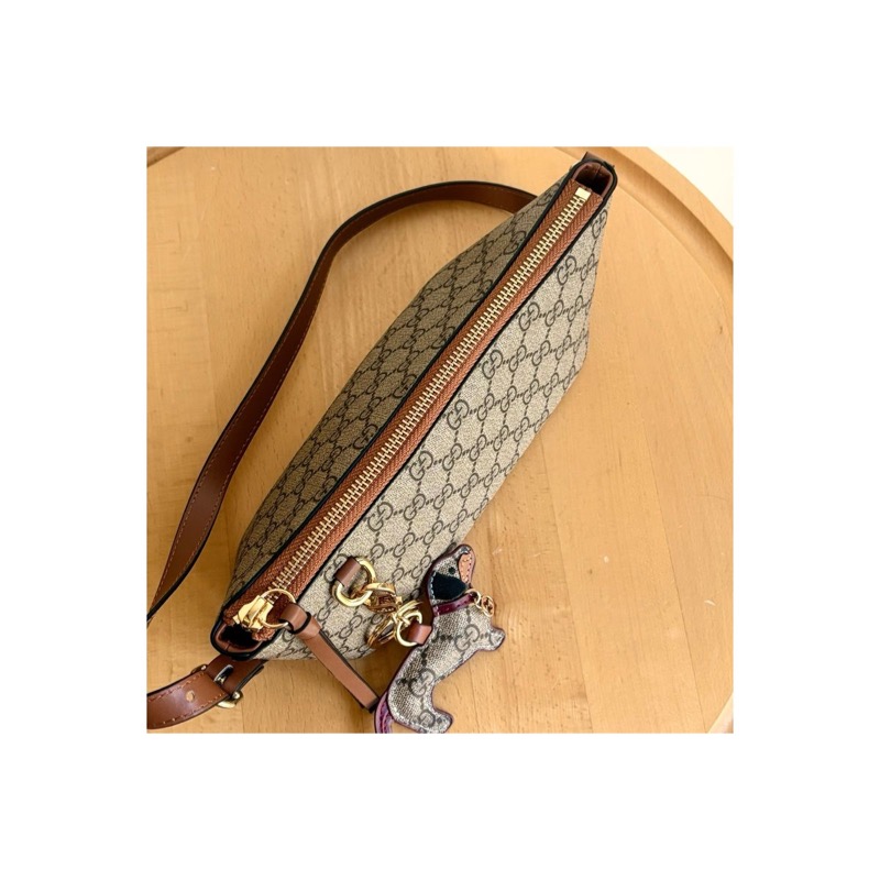 Gucci Ophidia Bag