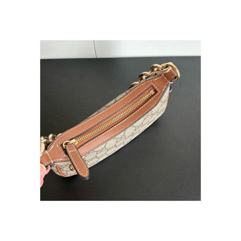 Gucci Ophidia Bag
