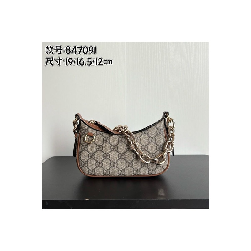 Gucci Ophidia Bag