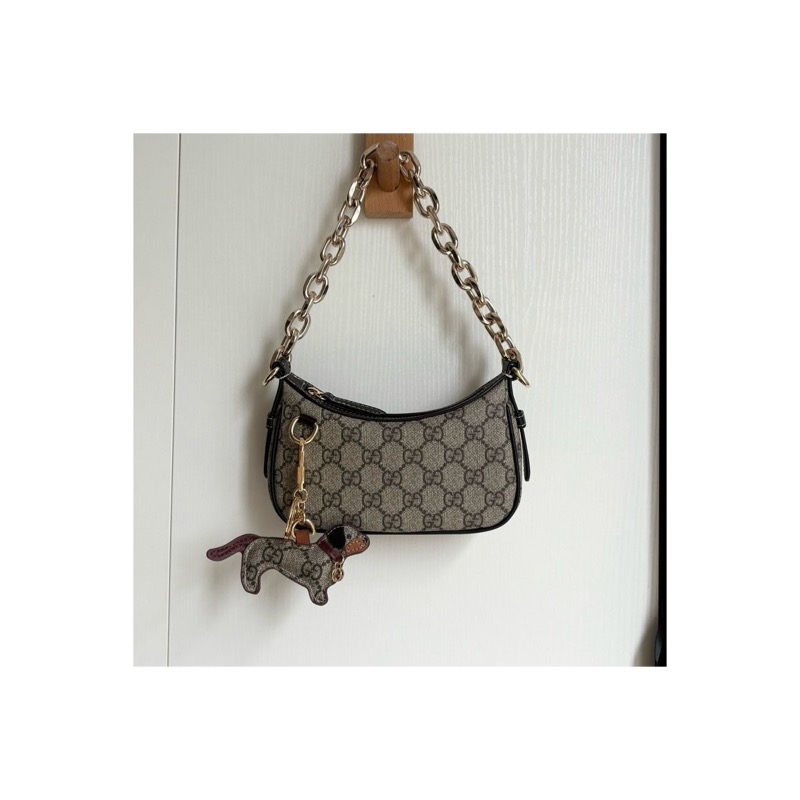 Gucci Ophidia Bag