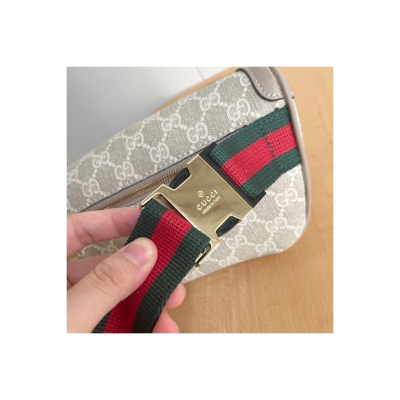 Gucci Ophidia Bag