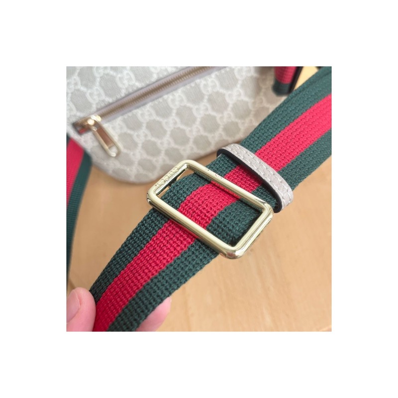 Gucci Ophidia Bag