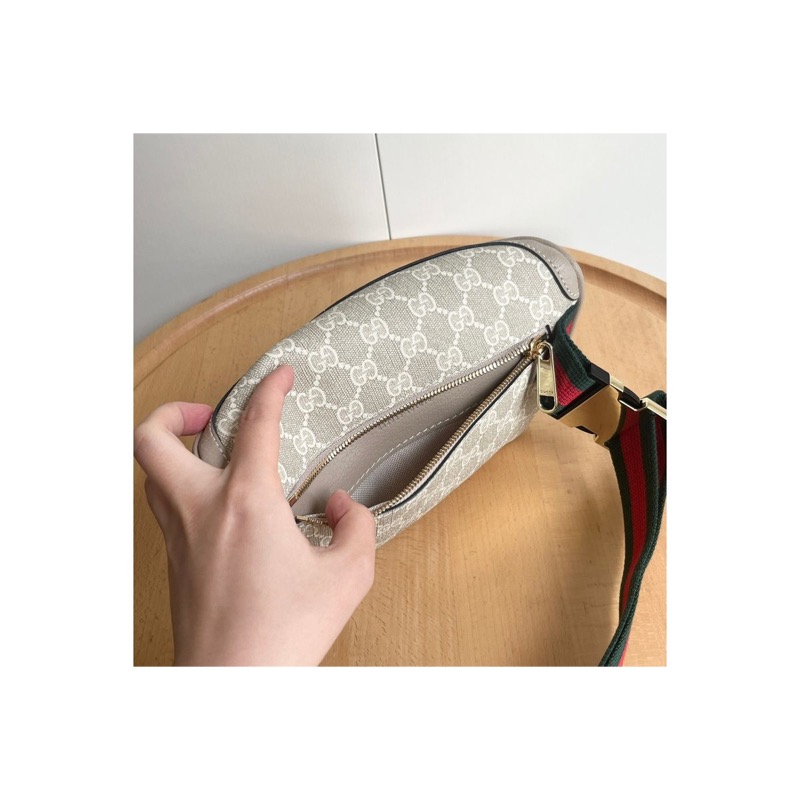 Gucci Ophidia Bag