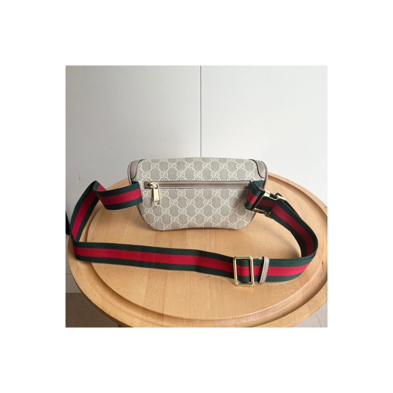 Gucci Ophidia Bag