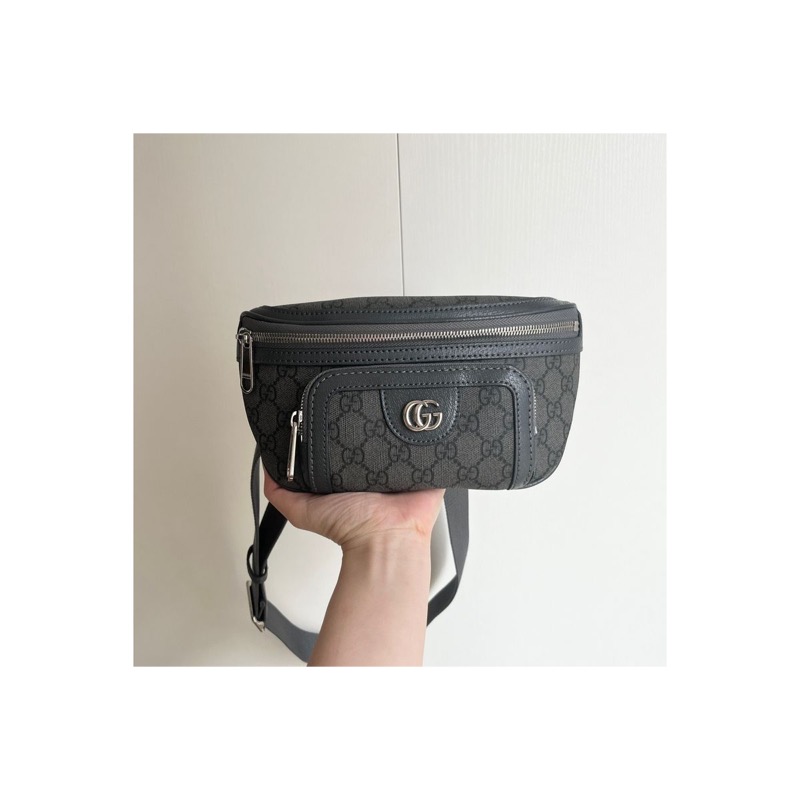 Gucci Ophidia Bag