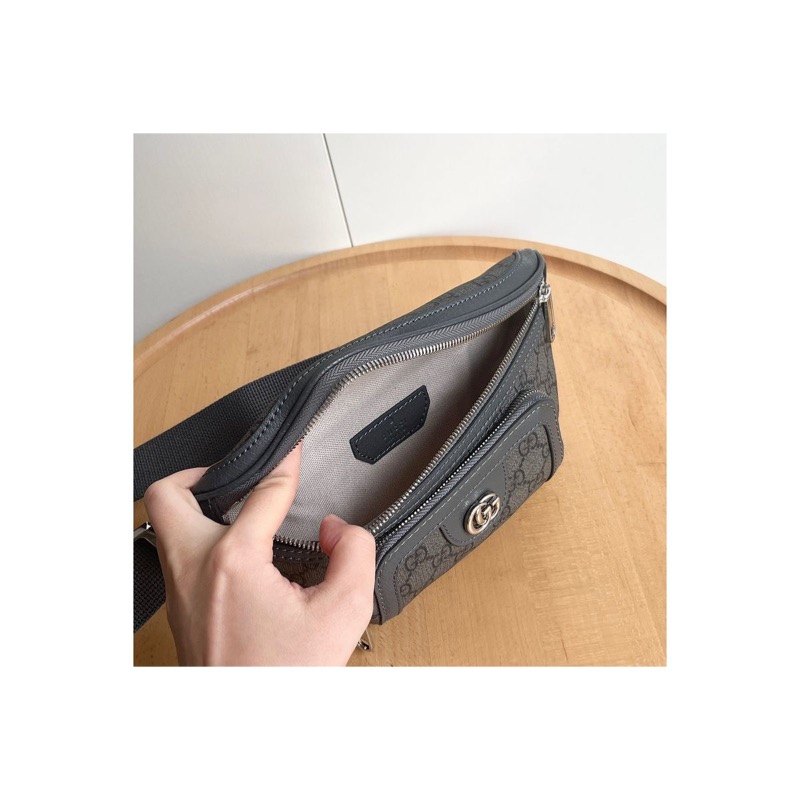 Gucci Ophidia Bag