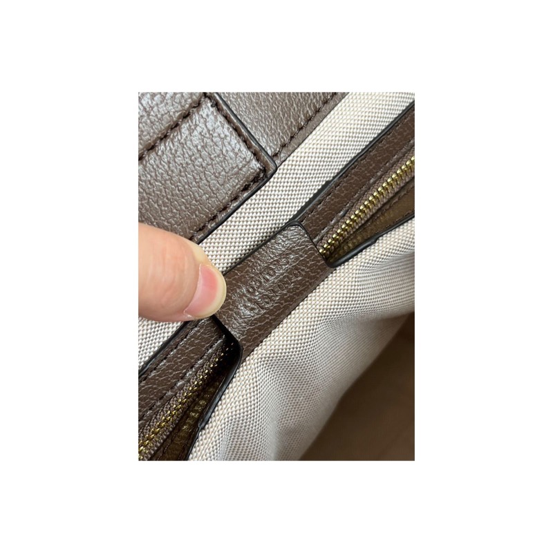 Gucci Ophidia Bag