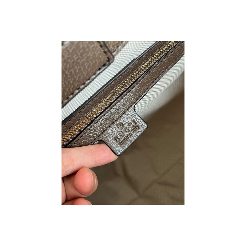 Gucci Ophidia Bag