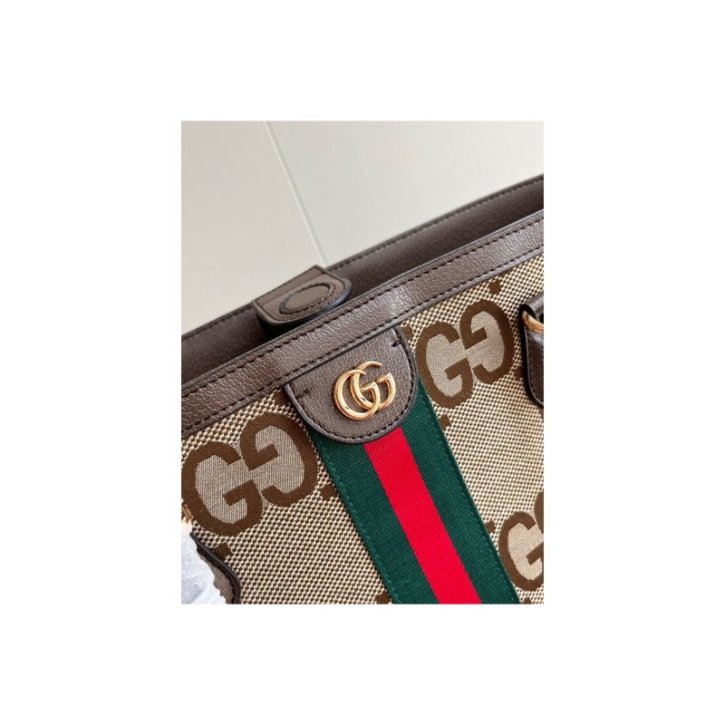 Gucci Ophidia Bag