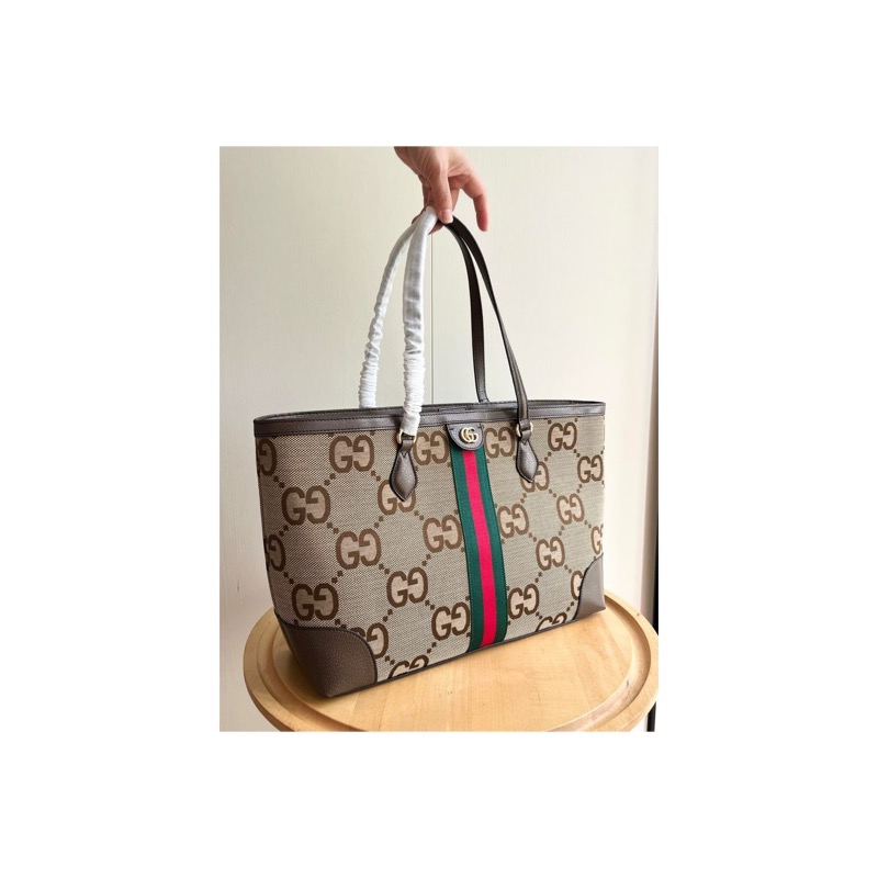 Gucci Ophidia Bag
