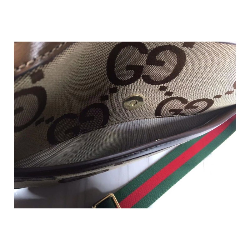 Gucci Ophidia Bag