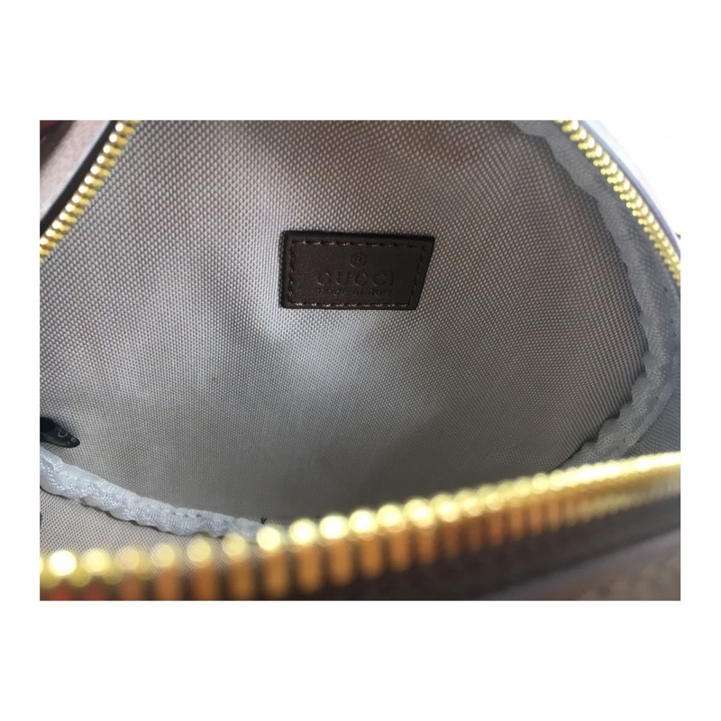 Gucci Ophidia Bag