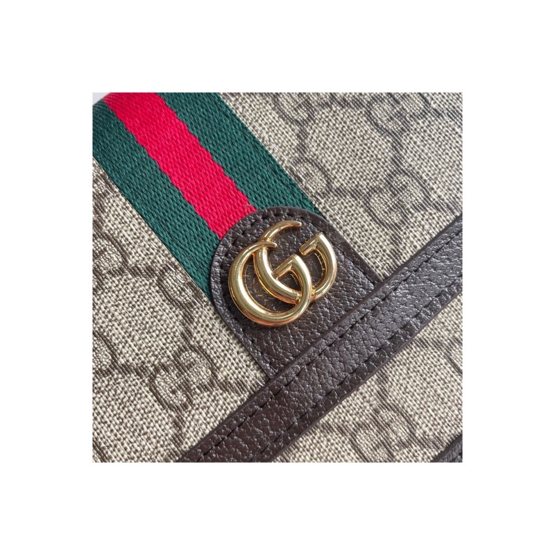 Gucci Ophidia Bag