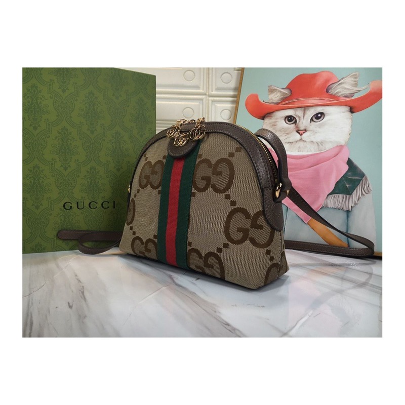 Gucci Ophidia Bag