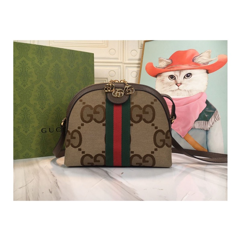 Gucci Ophidia Bag