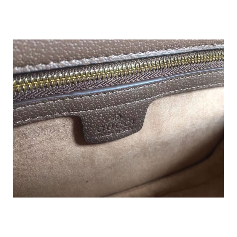 Gucci Ophidia Bag