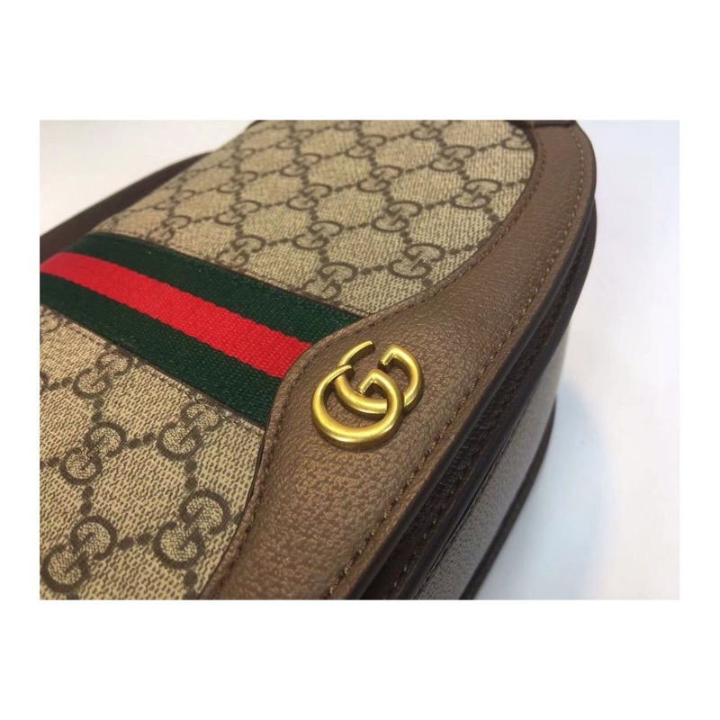 Gucci Ophidia Bag