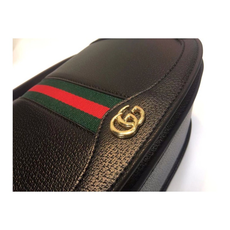 Gucci Ophidia Bag